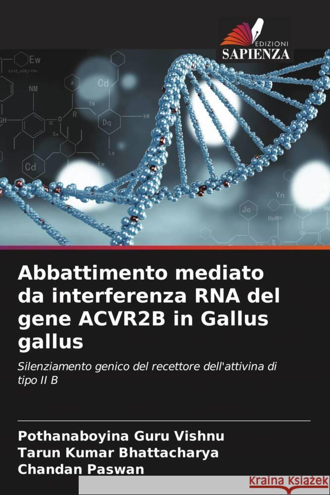 Abbattimento mediato da interferenza RNA del gene ACVR2B in Gallus gallus Guru Vishnu, Pothanaboyina, Bhattacharya, Tarun Kumar, Paswan, Chandan 9786204612812 Edizioni Sapienza - książka