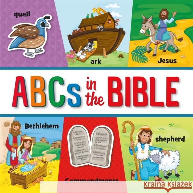 ABCs in the Bible Rebekah Moredock Lisa Reed 9781546014287 Worthy Kids - książka