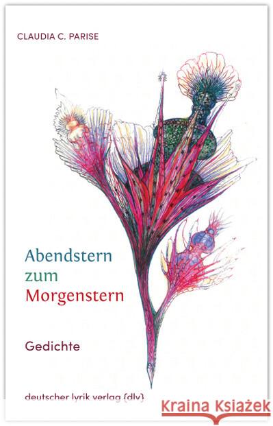 Abendstern zum Morgenstern Parise, Claudia C. 9783842248892 Karin Fischer Verlag - książka