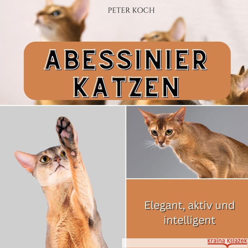 Abessinierkatzen Koch, Peter 9783750562943 27amigos - książka
