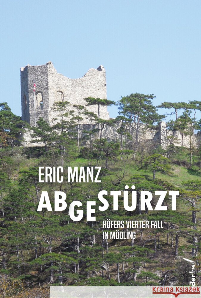 Abgestürzt Manz, Eric 9783990743515 Federfrei Verlag - książka