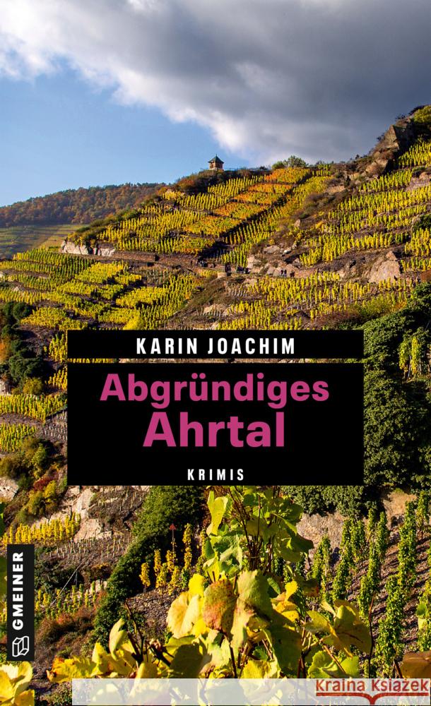 Abgründiges Ahrtal Joachim, Karin 9783839201794 Gmeiner-Verlag - książka