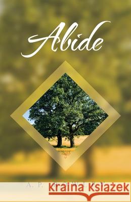 Abide A P Rowley 9781664246232 WestBow Press - książka