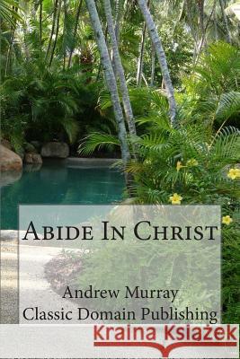 Abide In Christ Publishing, Classic Domain 9781502484666 Createspace - książka