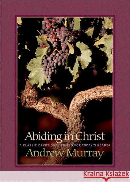 Abiding in Christ Andrew Murray 9780764227622 Bethany House Publishers - książka