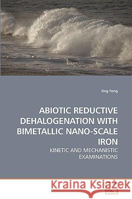 Abiotic Reductive Dehalogenation with Bimetallic Nano-Scale Iron Jing Feng 9783639200881 VDM Verlag - książka