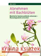 Abnehmen mit Bachblüten : Blockierte Seelenzustände erkennen - Wunschgewicht erreichen Pantel, Jörg 9783899936216 Schlütersche - książka