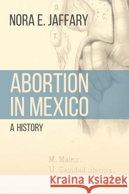 Abortion in Mexico: A History Nora E. Jaffary 9781496239624 University of Nebraska Press - książka