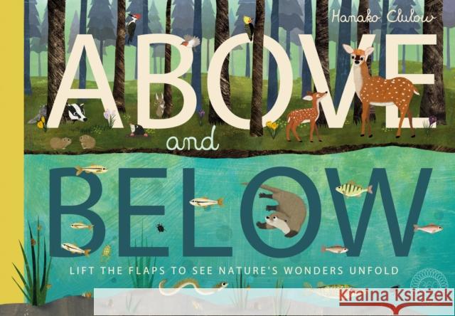 Above and Below Hegarty, Patricia 9781848576070 Little Tiger Press Group - książka