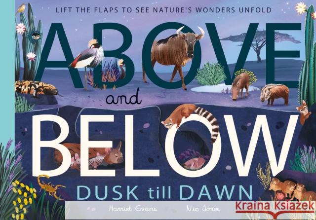 Above and Below: Dusk till Dawn: Lift the flaps to see nature's wonders unfold Harriet Evans 9781838914028 Little Tiger Press Group - książka