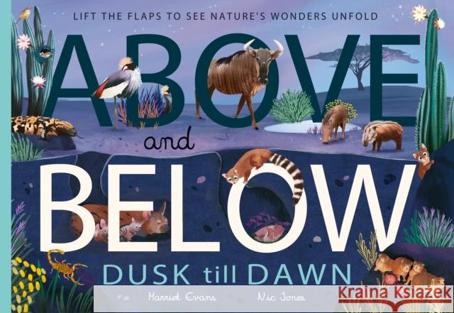 Above and Below: Dusk till Dawn: Lift the flaps to see nature's wonders unfold Harriet Evans 9781838916480 Little Tiger Press Group - książka