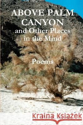 Above Palm Canyon and Other Places in the Mind Per K Brask 9780987917096 Fictive Press - książka