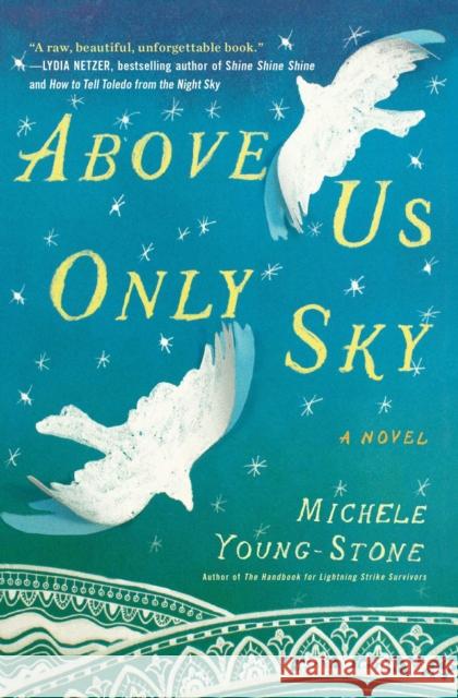 Above Us Only Sky Michele Young-Stone 9781451657685 Simon & Schuster - książka