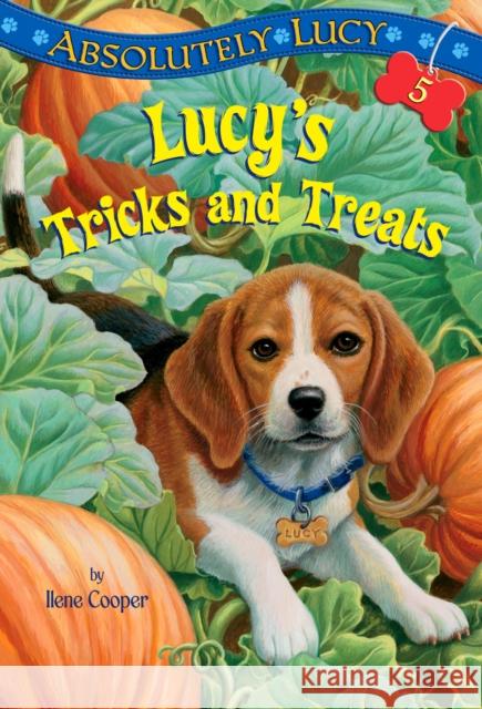 Absolutely Lucy #5: Lucy's Tricks and Treats Ilene Cooper 9780375869976 Random House USA Inc - książka