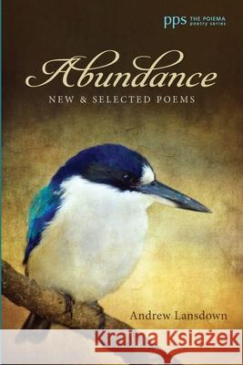 Abundance Andrew Lansdown 9781725284579 Cascade Books - książka