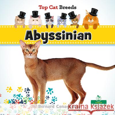 Abyssinian Bernard Conaghan 9781039838451 Crabtree Seedlings - książka