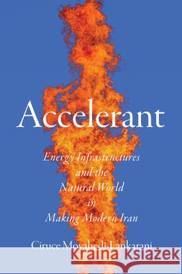 Accelerant: Energy Infrastructures and the Natural World in Making Modern Iran Ciruce A. Movahedi-Lankarani 9781503646223 Stanford University Press - książka