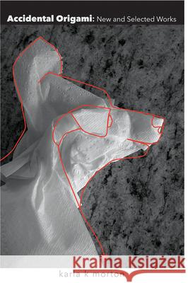 Accidental Origami: New and Selected Works of Karla K. Morton Karla K. Morton 9781680030877 Texas Review Press - książka