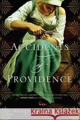 Accidents of Providence Stacia Brown 9780547840116 Mariner Books - książka