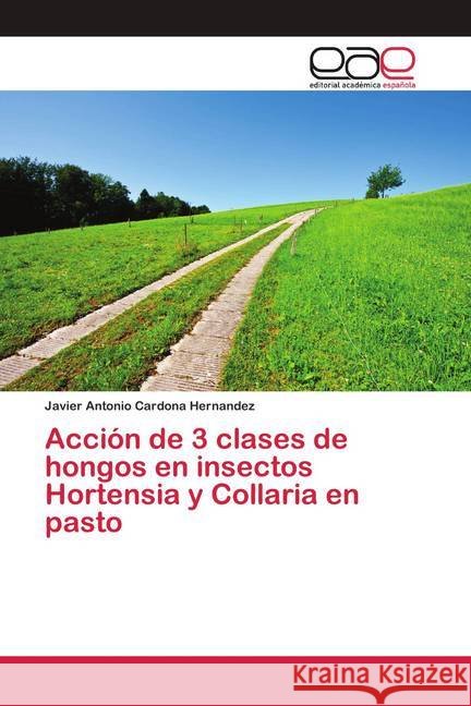 Acción de 3 clases de hongos en insectos Hortensia y Collaria en pasto Cardona Hernandez, Javier Antonio 9786202165570 Editorial Académica Española - książka