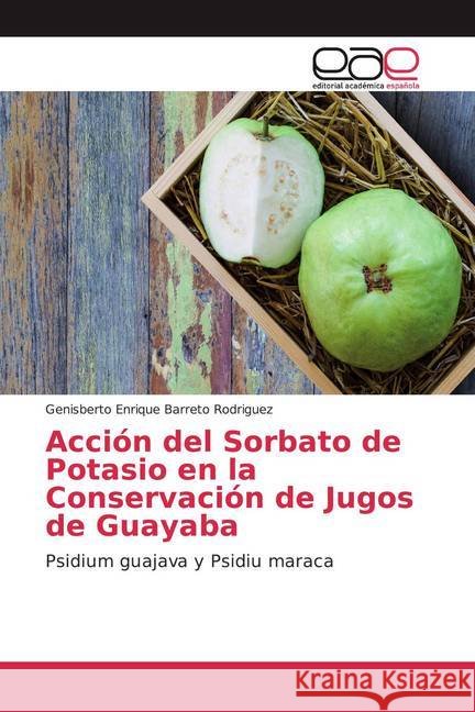 Acción del Sorbato de Potasio en la Conservación de Jugos de Guayaba : Psidium guajava y Psidiu maraca Barreto Rodriguez, Genisberto Enrique 9783659099762 Editorial Académica Española - książka