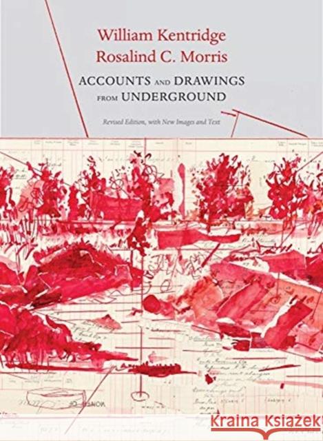 Accounts and Drawings from Underground: The East Rand Proprietary Mines Cash Book Kentridge, William 9780857428523 Seagull Books - książka