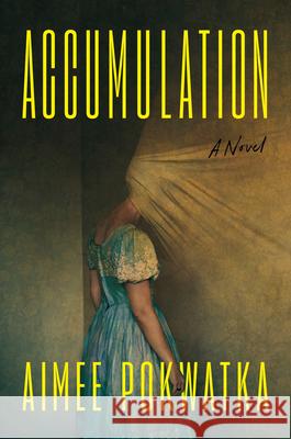 Accumulation Aimee Pokwatka 9798217047628 Penguin Putnam Inc - książka