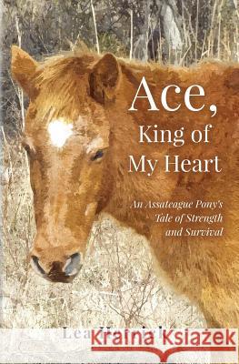 Ace, King of My Heart: An Assateague Pony's Tale of Strength and Survival Lea Herrick 9781535022033 Createspace Independent Publishing Platform - książka