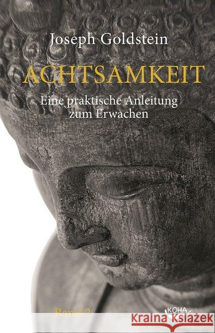 Achtsamkeit. Bd.2 : Eine praktische Anleitung zum Erwachen Goldstein, Joseph 9783867283298 KOHA - książka