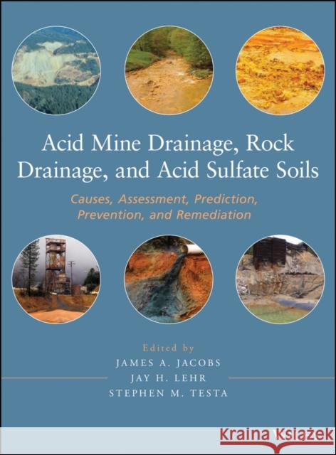 Acid Mine Drainage, Rock Drainage, and Acid Sulfate Soils: Causes, Assessment, Prediction, Prevention, and Remediation Jacobs, James A. 9780470487860 John Wiley & Sons - książka