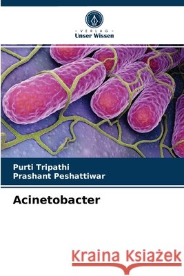 Acinetobacter Purti Tripathi, Prashant Peshattiwar 9786204055169 Verlag Unser Wissen - książka