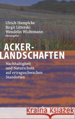 Ackerlandschaften: Nachhaltigkeit und Naturschutz auf ertragsschwachen Standorten Hampicke, Ulrich 9783540241942 Springer, Berlin - książka