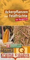 Ackerpflanzen und Feldfrüchte  9783494018836 Quelle & Meyer