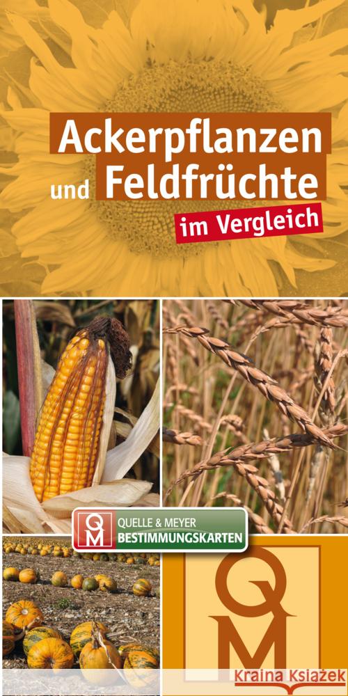 Ackerpflanzen und Feldfrüchte im Vergleich  9783494018843 Quelle & Meyer - książka