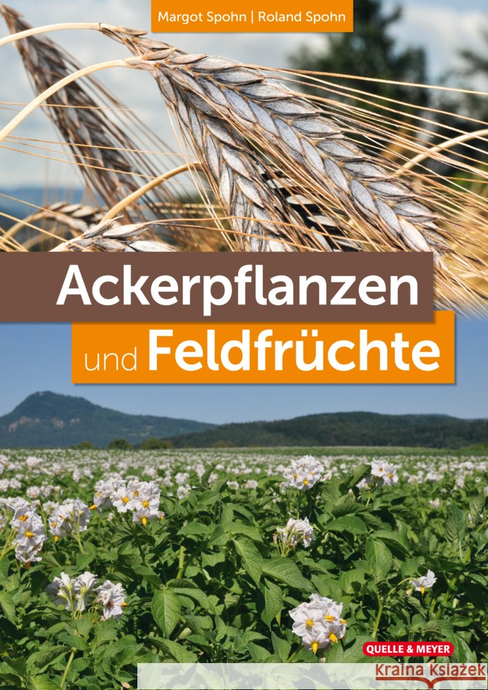 Ackerpflanzen und Feldfrüchte Spohn, Margot, Spohn, Roland 9783494018744 Quelle & Meyer - książka
