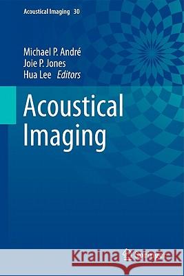 Acoustical Imaging, Volume 30 André, Michael P. 9789048132546 Springer - książka