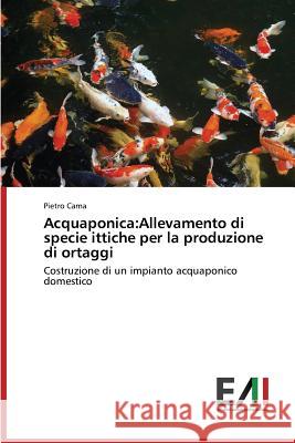 Acquaponica: Allevamento di specie ittiche per la produzione di ortaggi Cama Pietro 9783639773866 Edizioni Accademiche Italiane - książka
