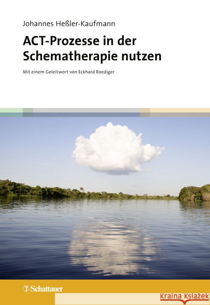 ACT-Prozesse in der Schematherapie nutzen Heßler-Kaufmann, Johannes 9783608400519 Schattauer - książka