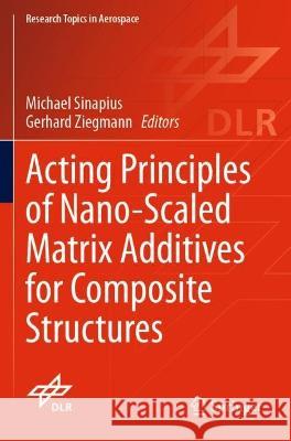 Acting Principles of Nano-Scaled Matrix Additives for Composite Structures  9783030685256 Springer International Publishing - książka