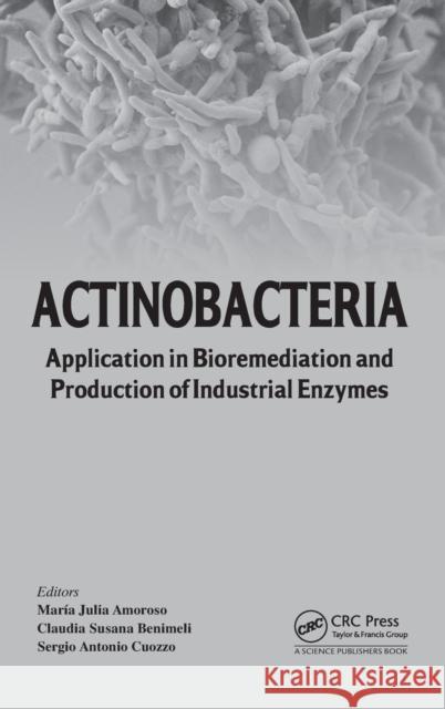 Actinobacteria: Application in Bioremediation and Production of Industrial Enzymes Amoroso, Maria Julia 9781466578739 CRC Press - książka