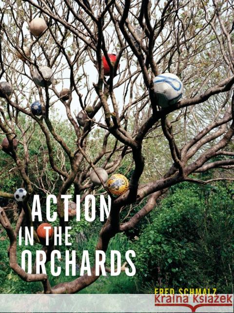 Action in the Orchards Fred Schmalz 9781937658984 Nightboat Books - książka