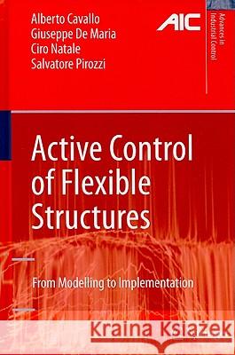 Active Control of Flexible Structures: From Modeling to Implementation Cavallo, Alberto 9781849962803 Springer - książka