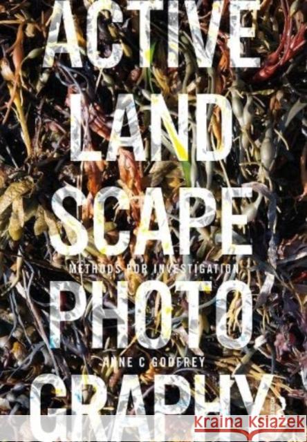Active Landscape Photography: Methods for Investigation Anne Godfrey 9780367248444 Routledge - książka