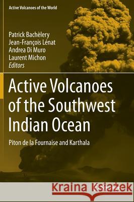 Active Volcanoes of the Southwest Indian Ocean: Piton de la Fournaise and Karthala Patrick Bachelery Jean-Francois Lenat Andrea D 9783642313943 Springer - książka