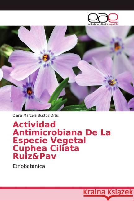 Actividad Antimicrobiana De La Especie Vegetal Cuphea Ciliata Ruiz&Pav : Etnobotánica Bustos Ortiz, Diana Marcela 9786202134118 Editorial Académica Española - książka