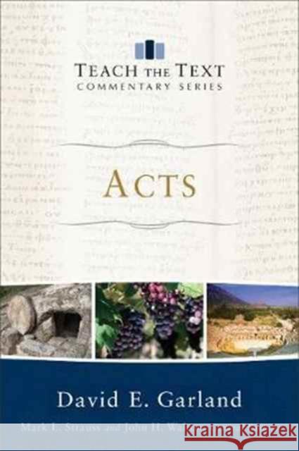 Acts David E. Garland Mark Strauss John Walton 9780801092299 Baker Books - książka