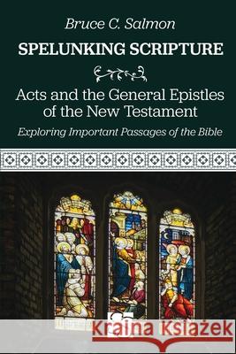 Acts and the General Epistles of the New Testament Bruce C. Salmon 9781635281590 Nurturing Faith - książka