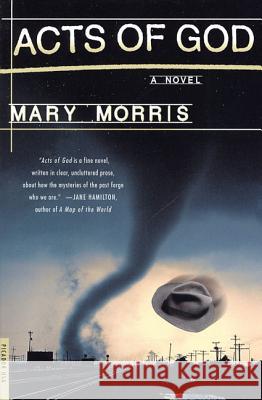 Acts of God Mary Morris 9780312264215 Picador USA - książka