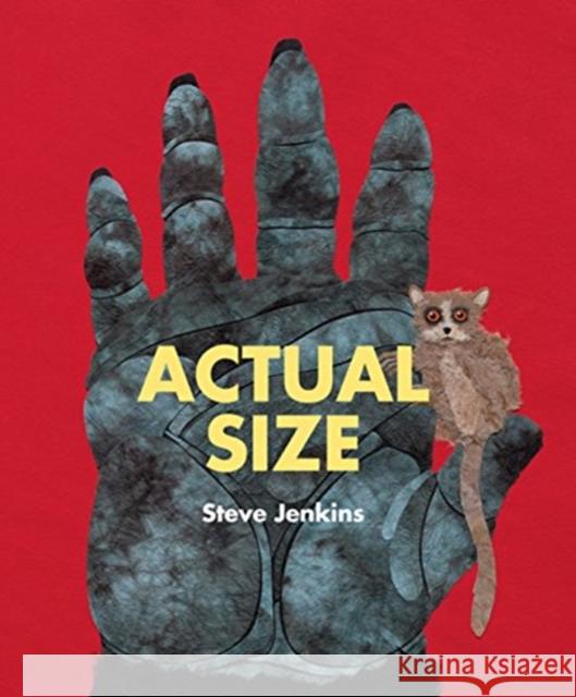 Actual Size Steve Jenkins 9780547512914 Houghton Mifflin Harcourt (HMH) - książka