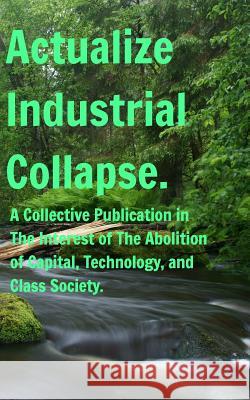Actualize Industrial Collapse - A Collective Manifesto: In the Interest of The Abolition of Capital. Felix W, Artxmis 9780368841330 Blurb - książka